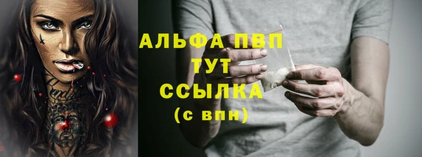 шишки Волоколамск