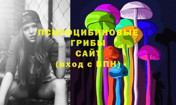 шишки Волоколамск