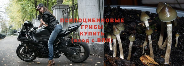 мдпв Володарск