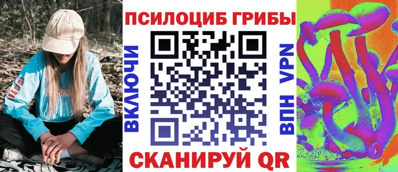 Галлюциногенные грибы Psilocybe  Купить где  Нерехта 